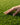 Artificial Grass