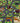 Sosa Max Kid's double face - 141681