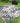 Picnic and Beach Rugs Size : 150x200 cm -621012