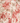 Nubira Rug -164767